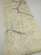 Photo2: 1R04z80  Japanese Kimono Silk  FABRIC Branch Lemon white 64.6x14.0 (2)