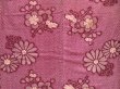 Photo5: 5018T03z690 Antique Japanese Kimono Cotton KOMON Plum blossom Dull purple (5)