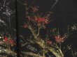 Photo4: 5027T06z580 Vintage Japanese Kimono Silk HAORI Plum tree Black (4)