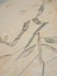 Photo4: 1T02z60  Japanese Kimono Silk  FABRIC Suminagashi Off-white 41.3x14.4 (4)